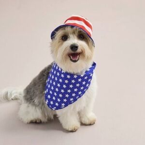 NEW 2 sets of Woof Pet Scarf Bandana & Bucket Hat Size Large/X-large(15-18”)